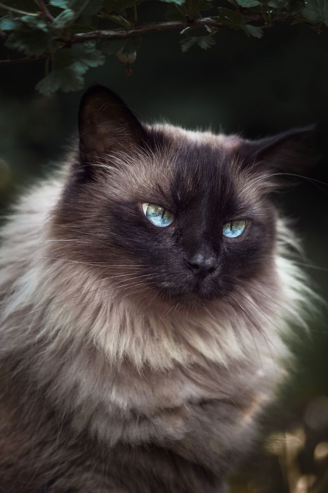 Photograph by Елена Овчинникова