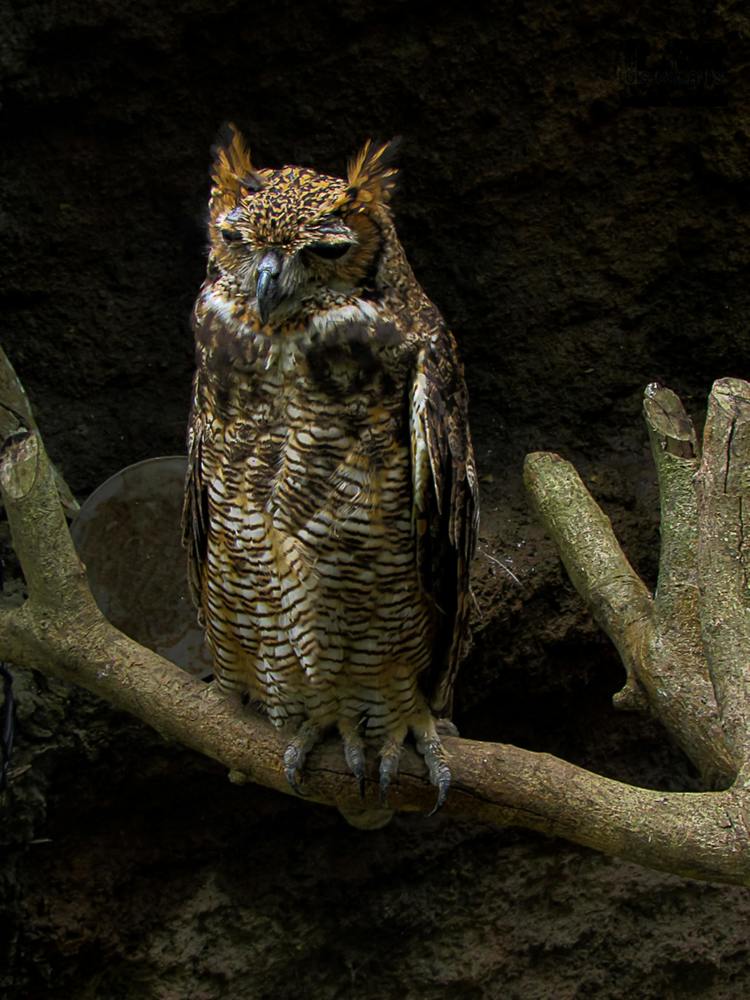 Photograph by Luis Alfredo Morales Torres