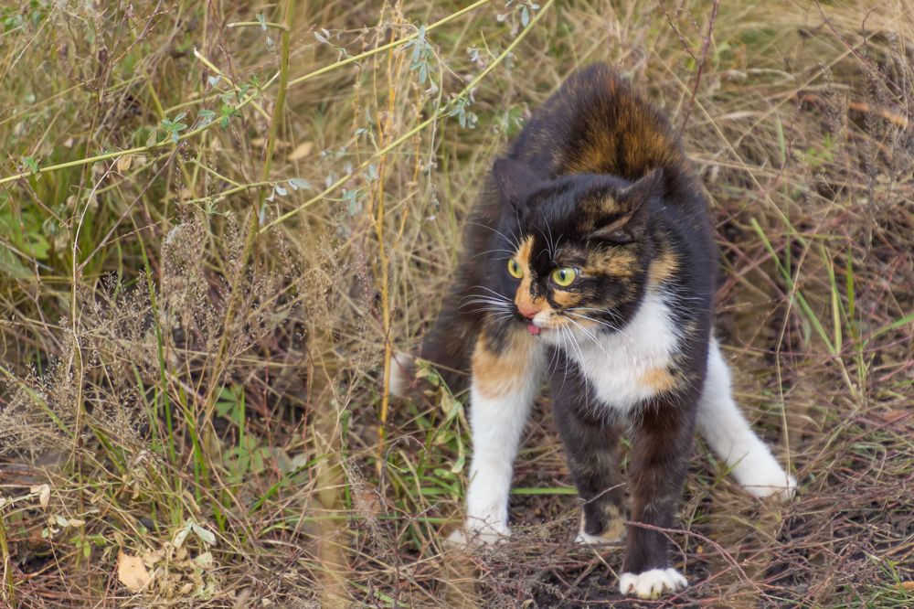 Photograph by Евгений Жуланов