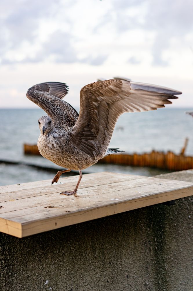 Photograph by Елена Осокина