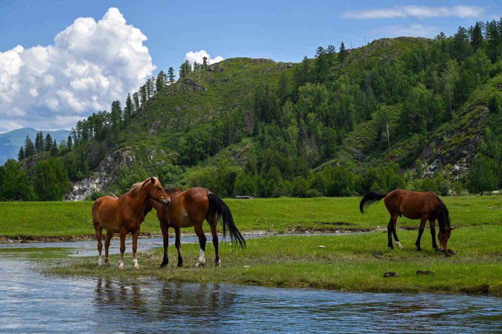 Photograph by Сергеев Айпалат