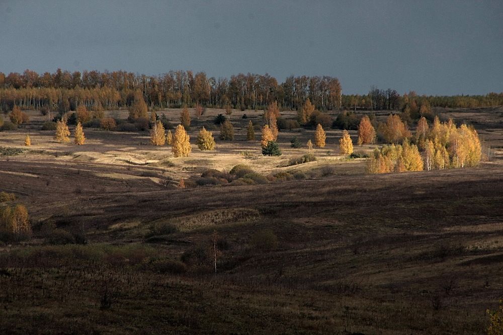 Photograph by Пётр Соколов