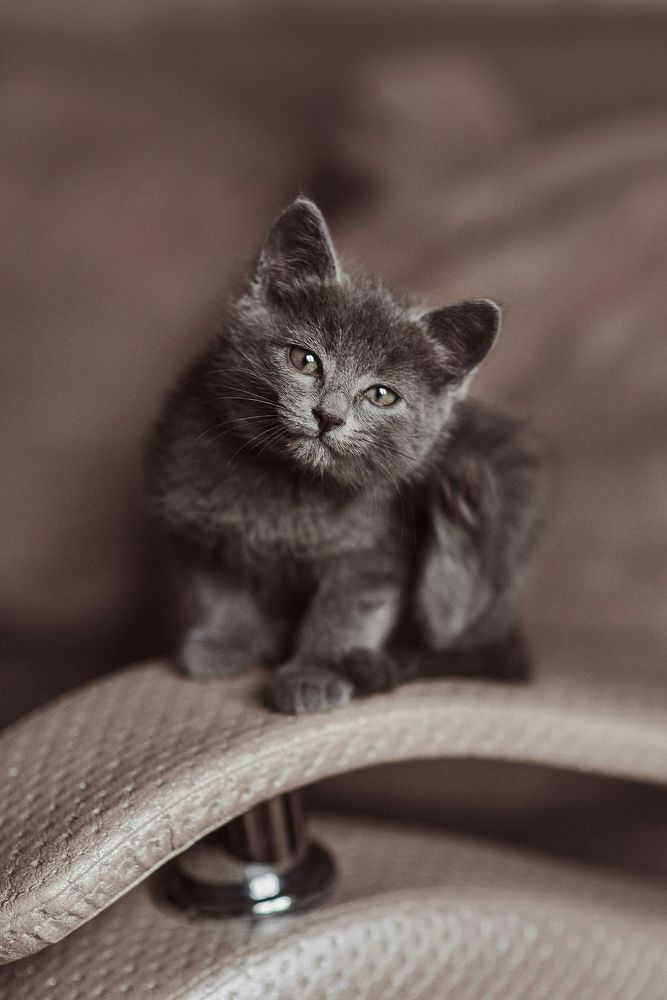 Photograph by Анна Ермоленко