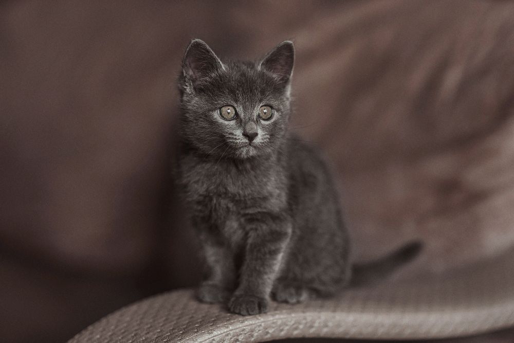 Photograph by Анна Ермоленко