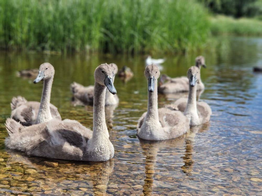 Photograph by Инна Савичева