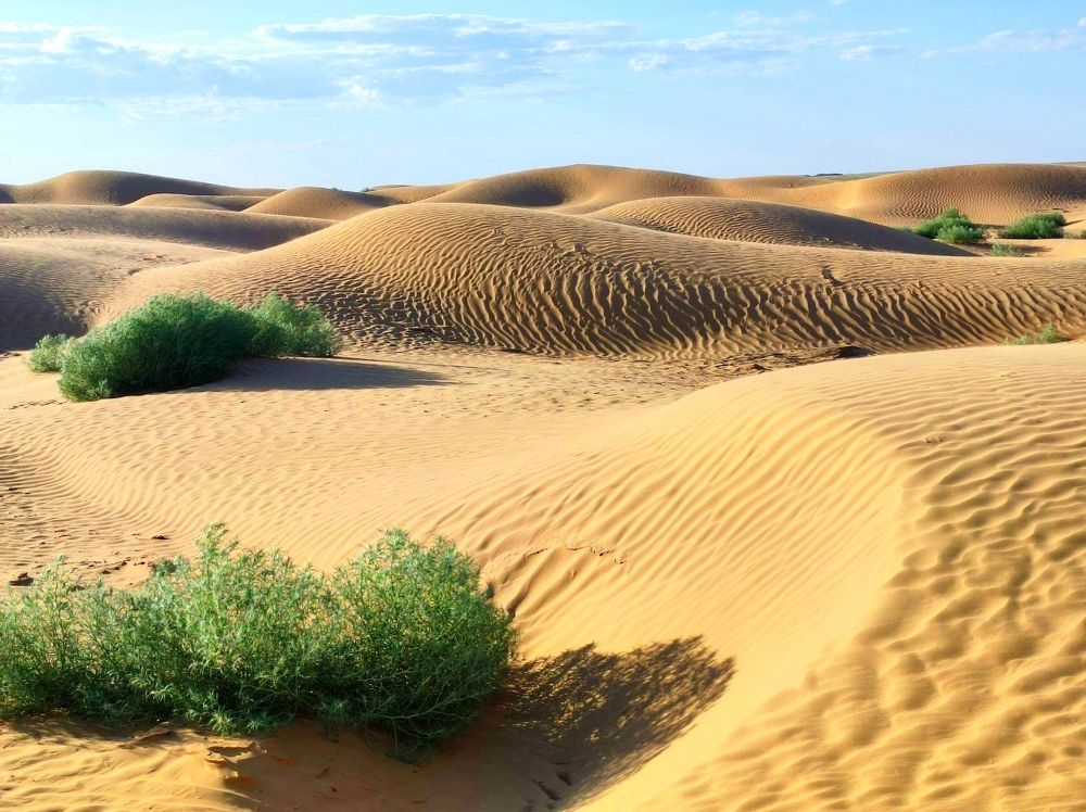 Пустыня в Калмыкии