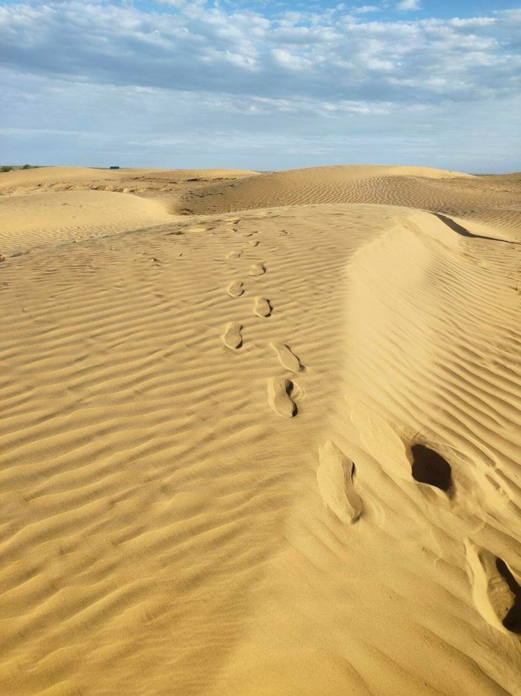 Песок заметает следы