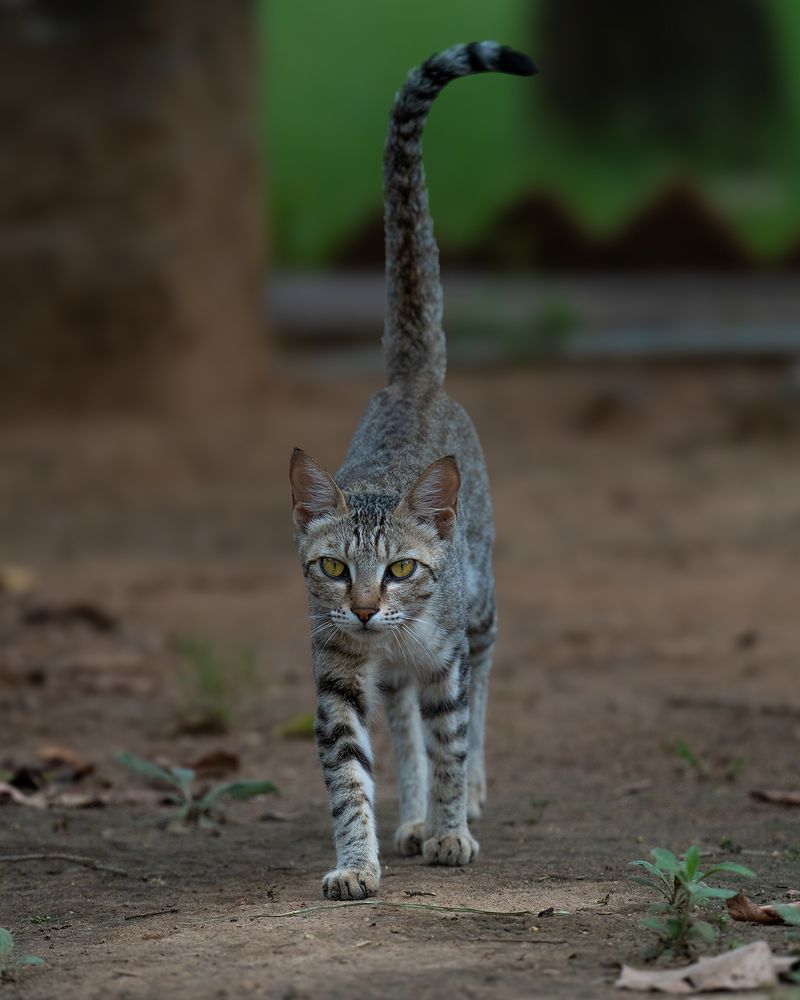 Photograph by Abhishek Kumar