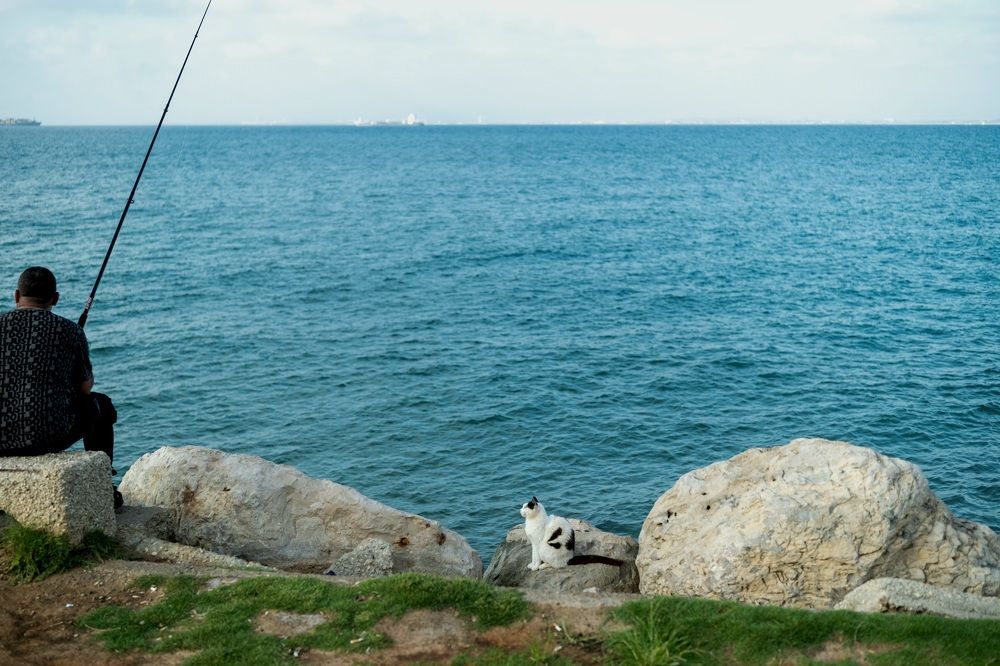 Photograph by Дмитрий Поваляев