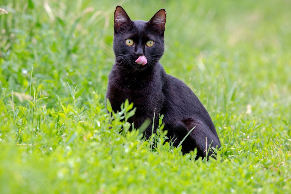 Photograph by Игорь Сапронов