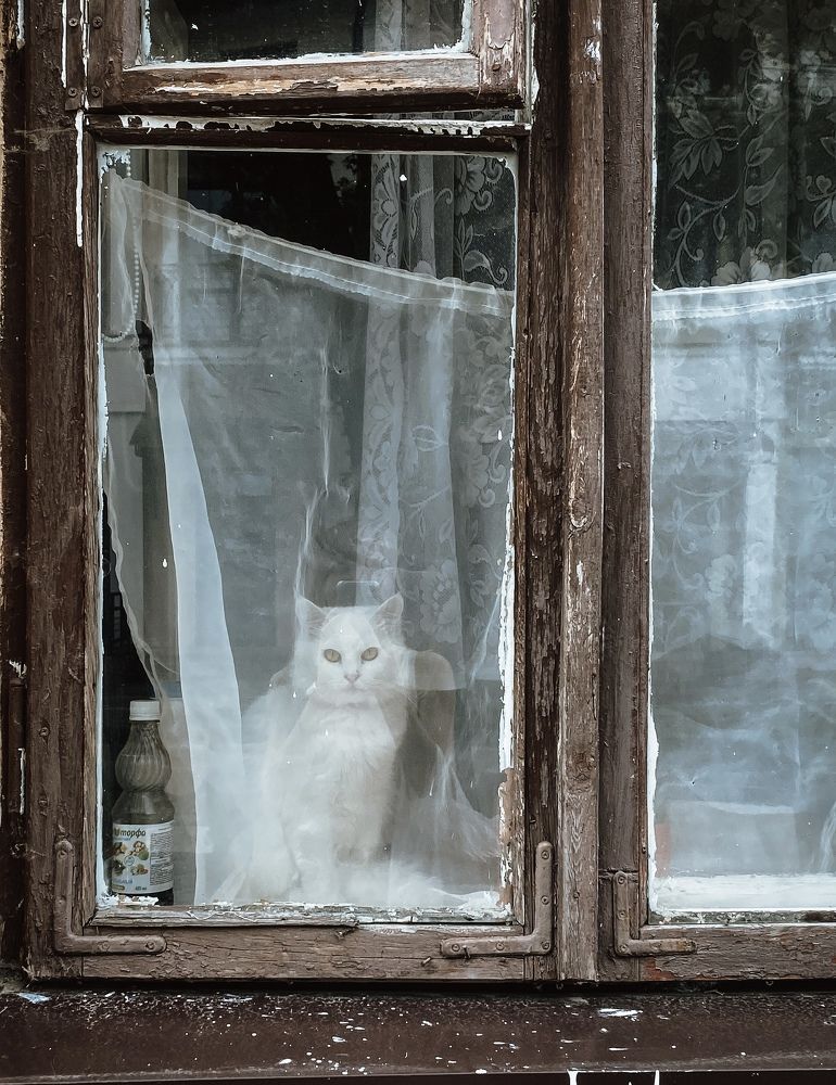 Photograph by Кристина Луканова