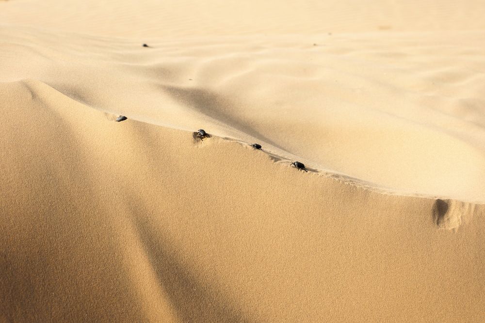 Photograph by Соколова Елена