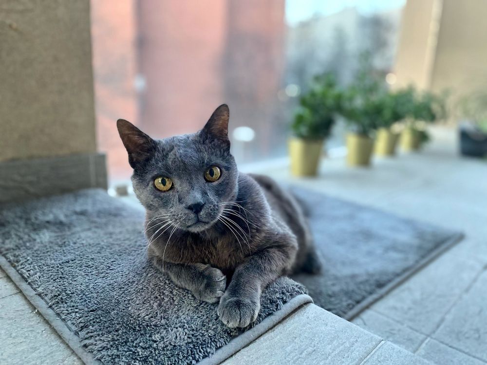 Photograph by Nikitina Yuliya