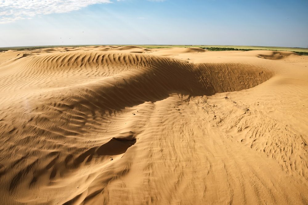 Photograph by Соколова Елена