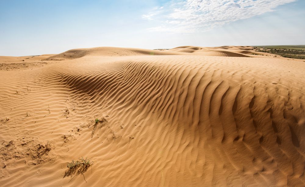 Photograph by Соколова Елена