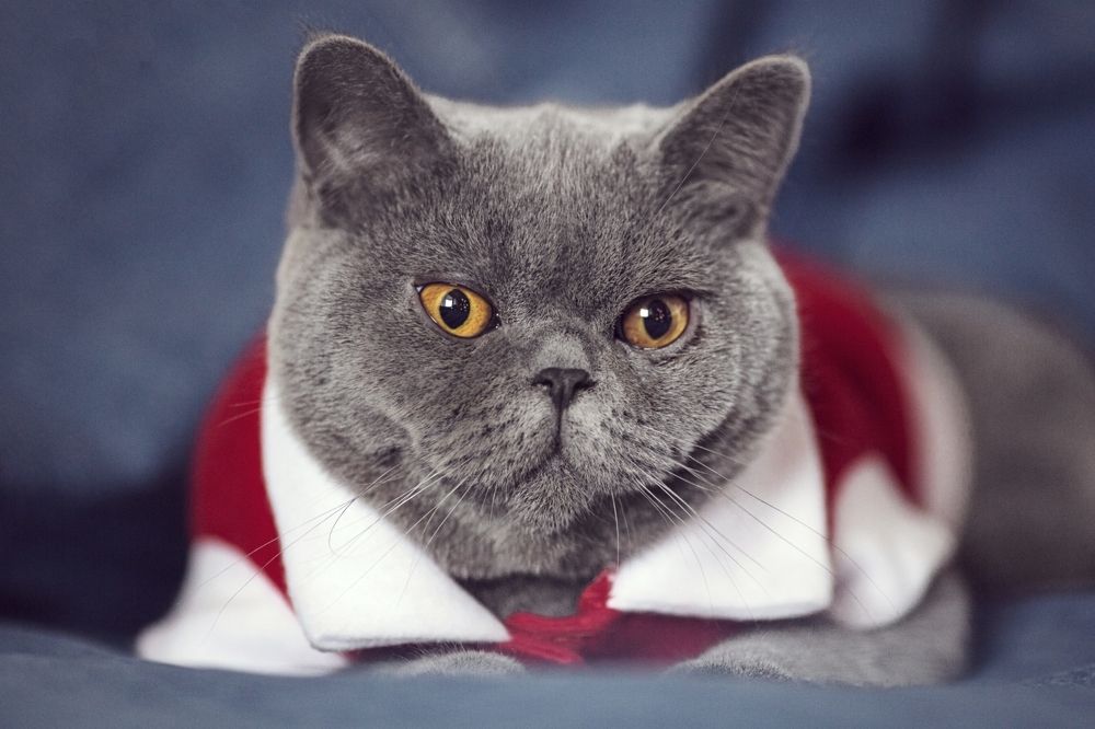 Photograph by Monika Fiba