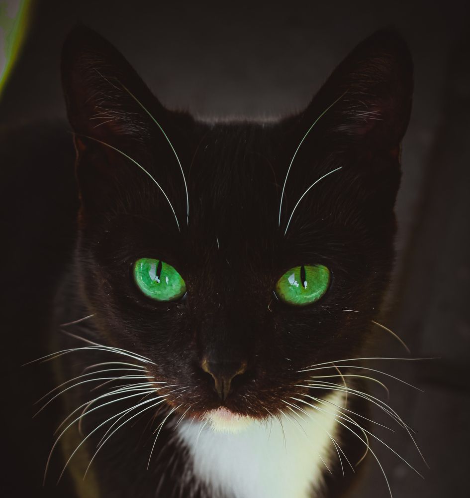 Photograph by Татьяна Слободчикова