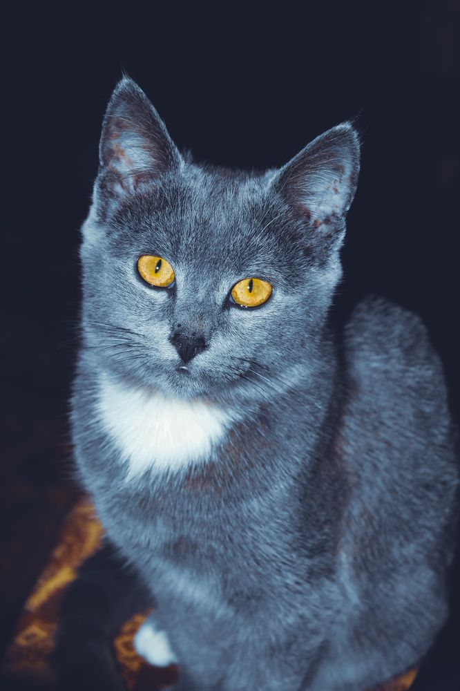 Photograph by Татьяна Слободчикова