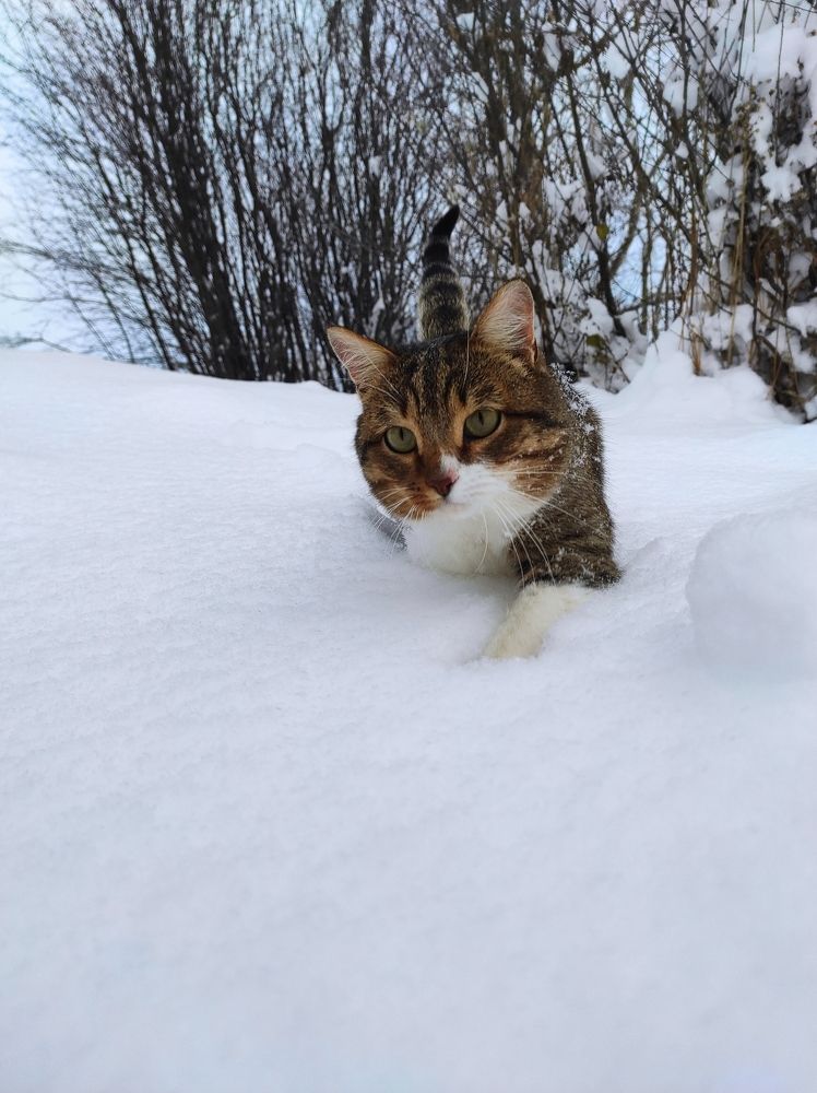 Photograph by Надежда Кангина