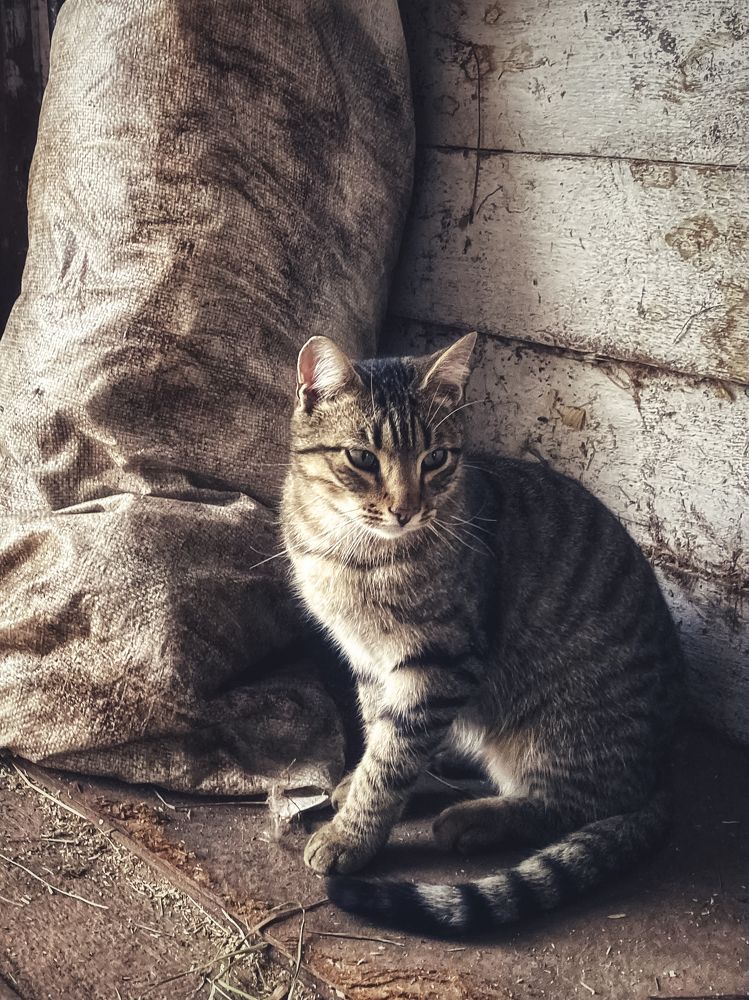 Photograph by Евгения Лосева