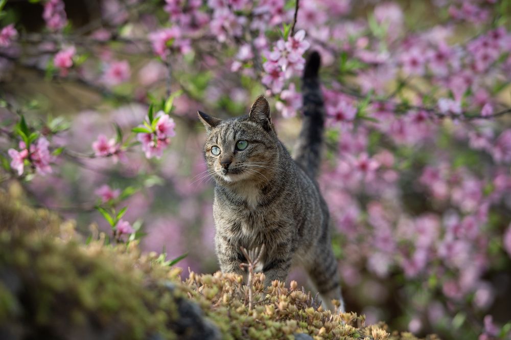 Photograph by SƠN TÙNG NGUYỄN