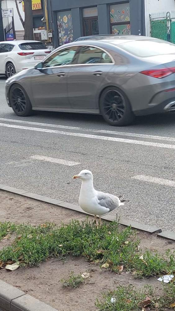 Photograph by Svitlana Usatenko