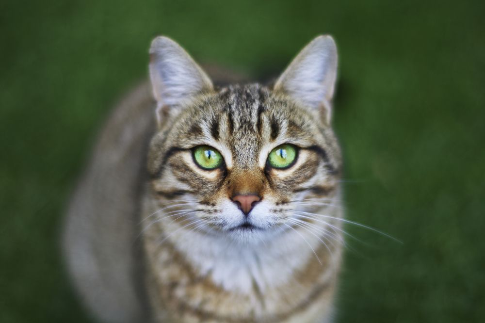 Photograph by Илья Шишков