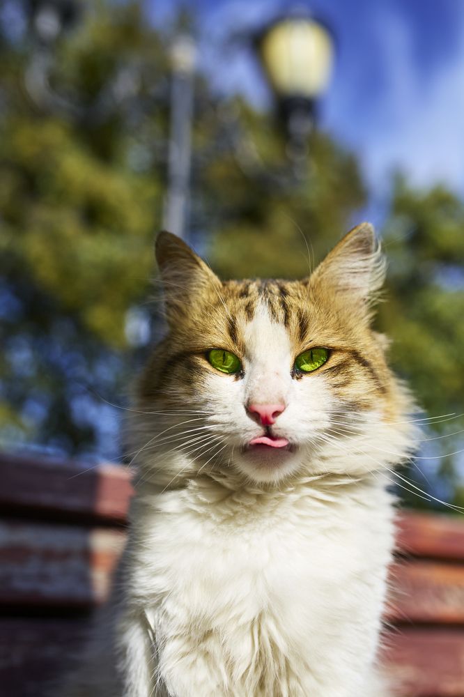 Photograph by Илья Шишков