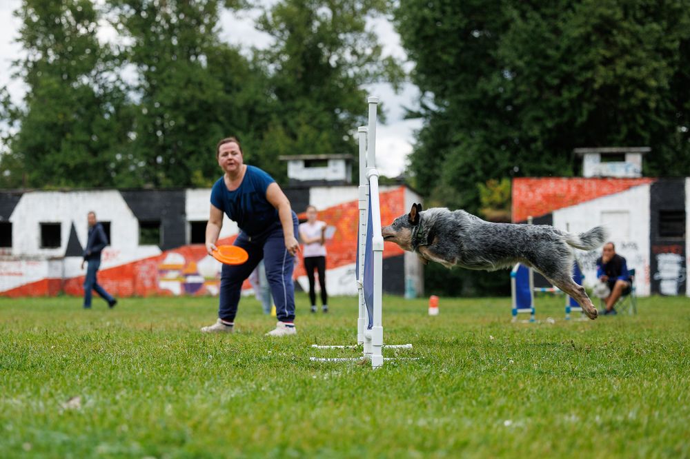 Photograph by Илья Юфа