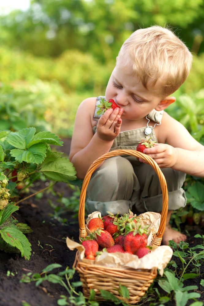 Photograph by Мария Каськова