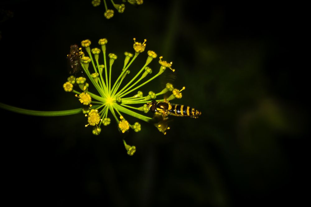 Photograph by Мади Балтабаев