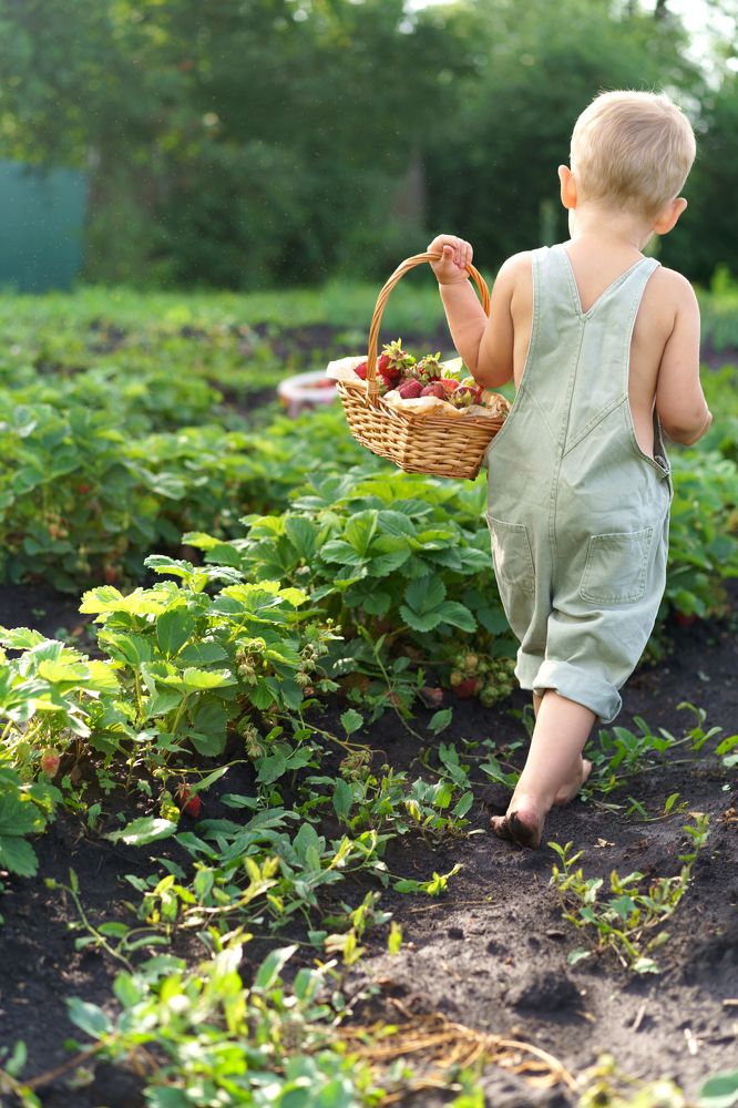 Photograph by Мария Каськова