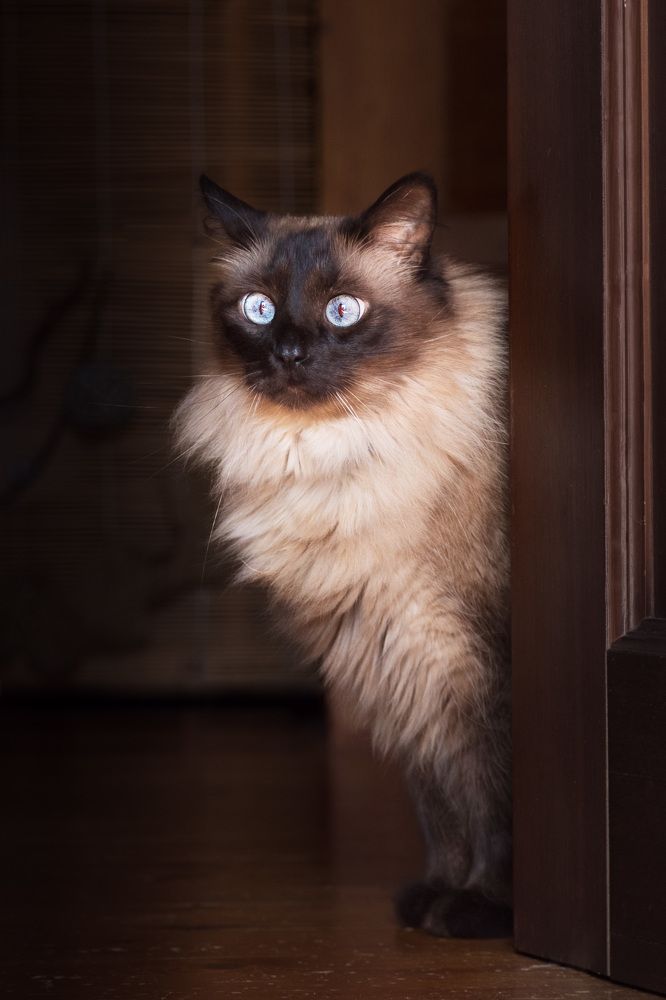 Photograph by Елена Овчинникова