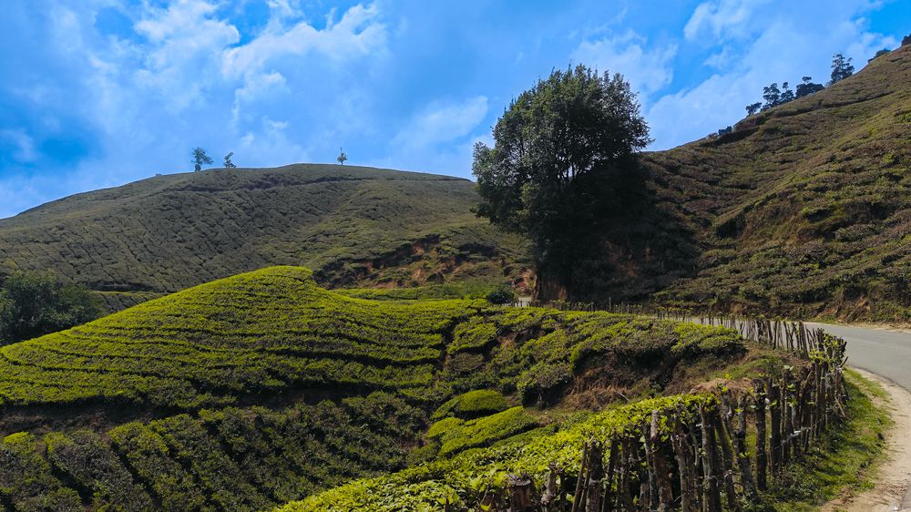 Beauty Of Munnar