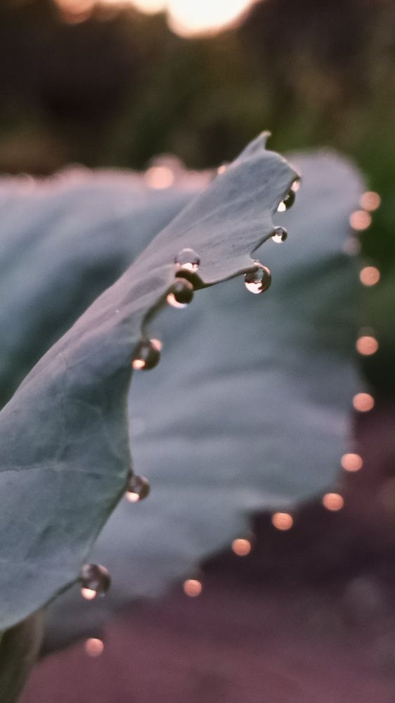 Photograph by Татьяна Пятернёва