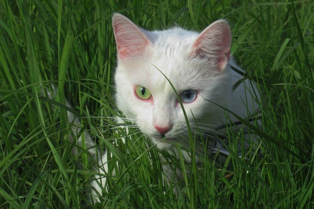 Photograph by Ольга Березовская