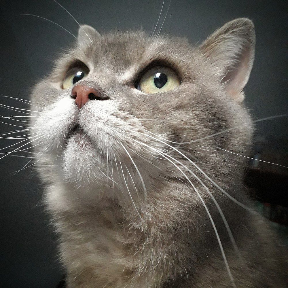 Photograph by Людмила Назарова