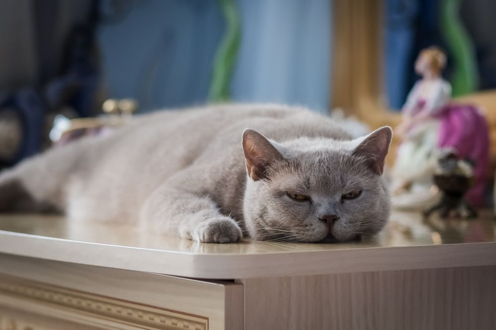 Photograph by Олег Дорошенко