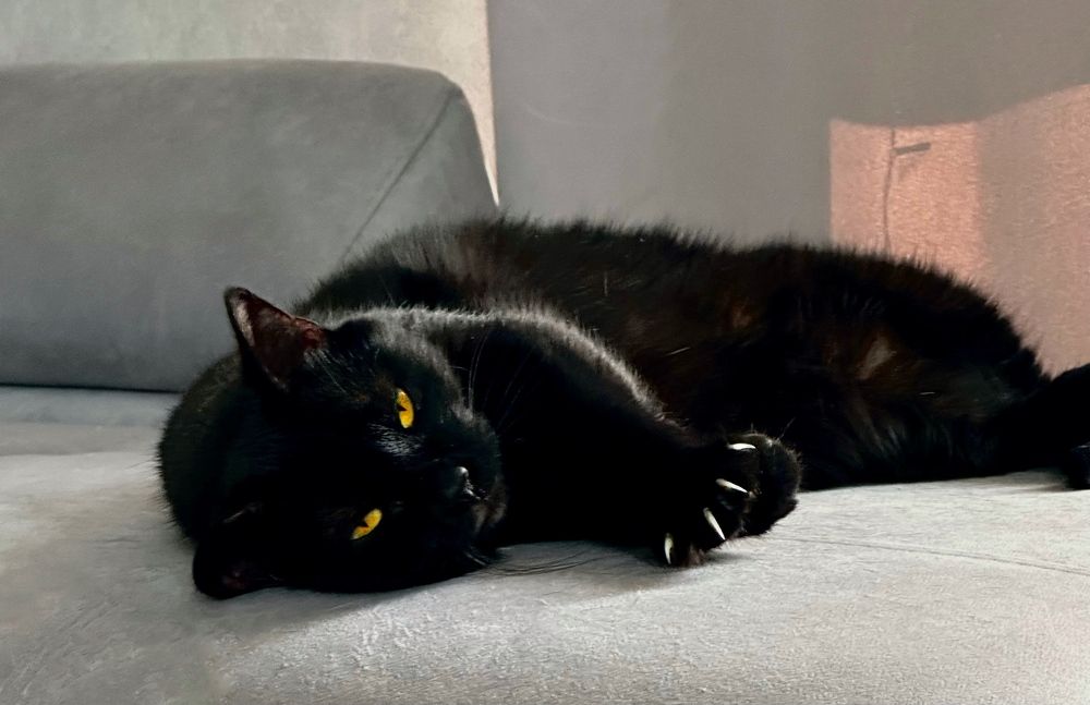 Photograph by Анастасия Конина