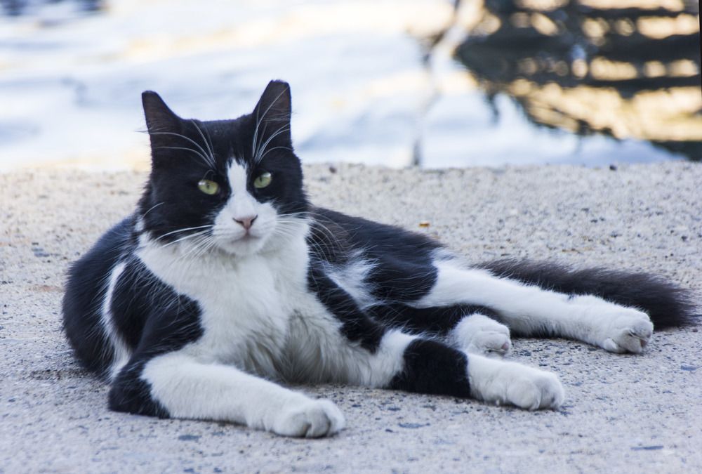 Photograph by alikan Evcil