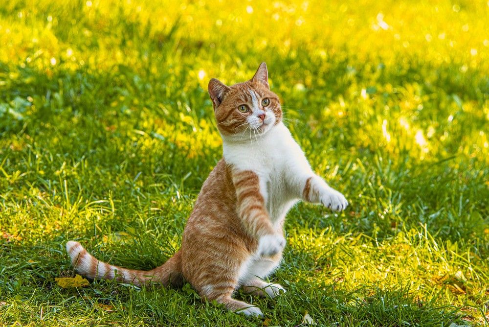 Photograph by Сиваков Алексей