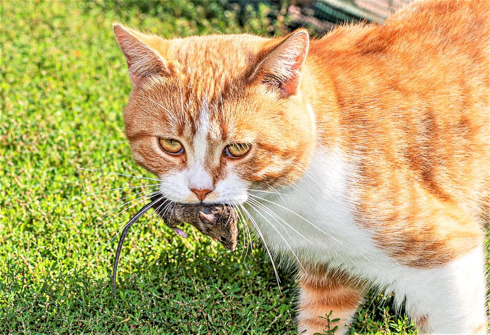 Photograph by Сиваков Алексей