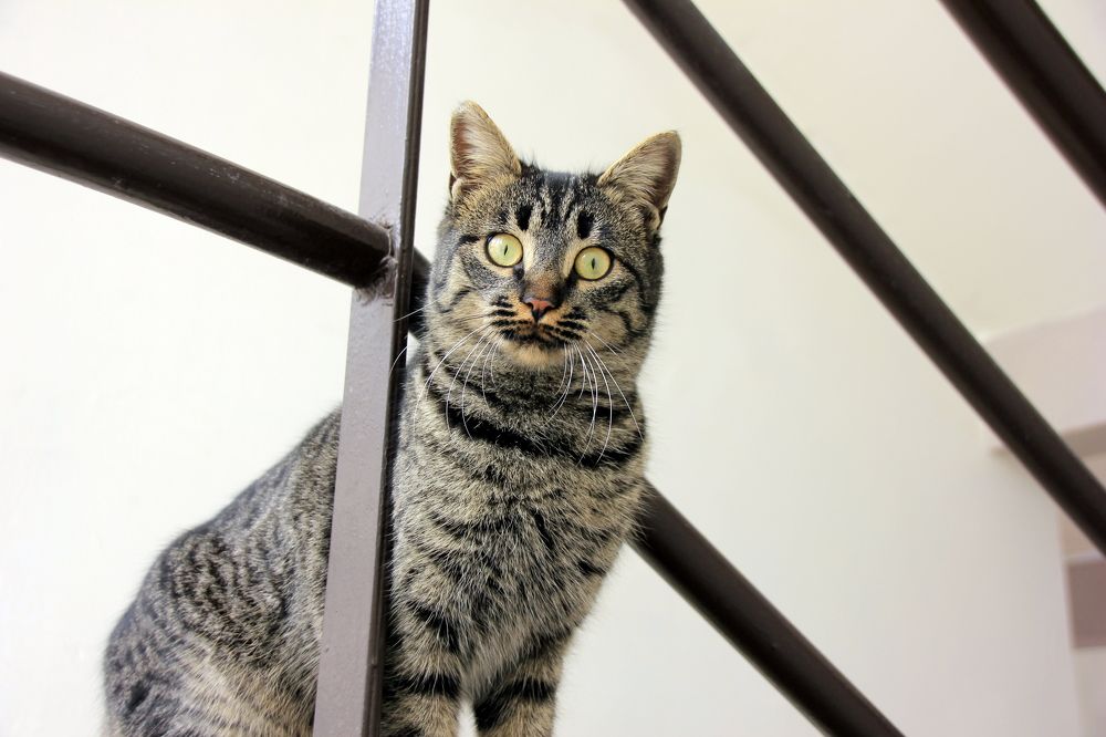 Photograph by alikan Evcil