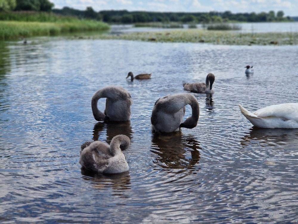 Photograph by Инна Савичева