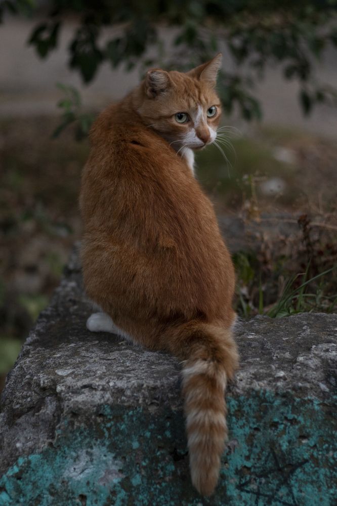 Photograph by Анастасия Трофимовская