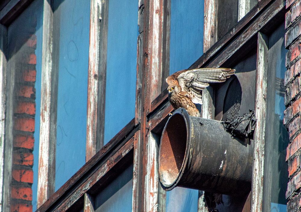 Photograph by Сиваков Алексей