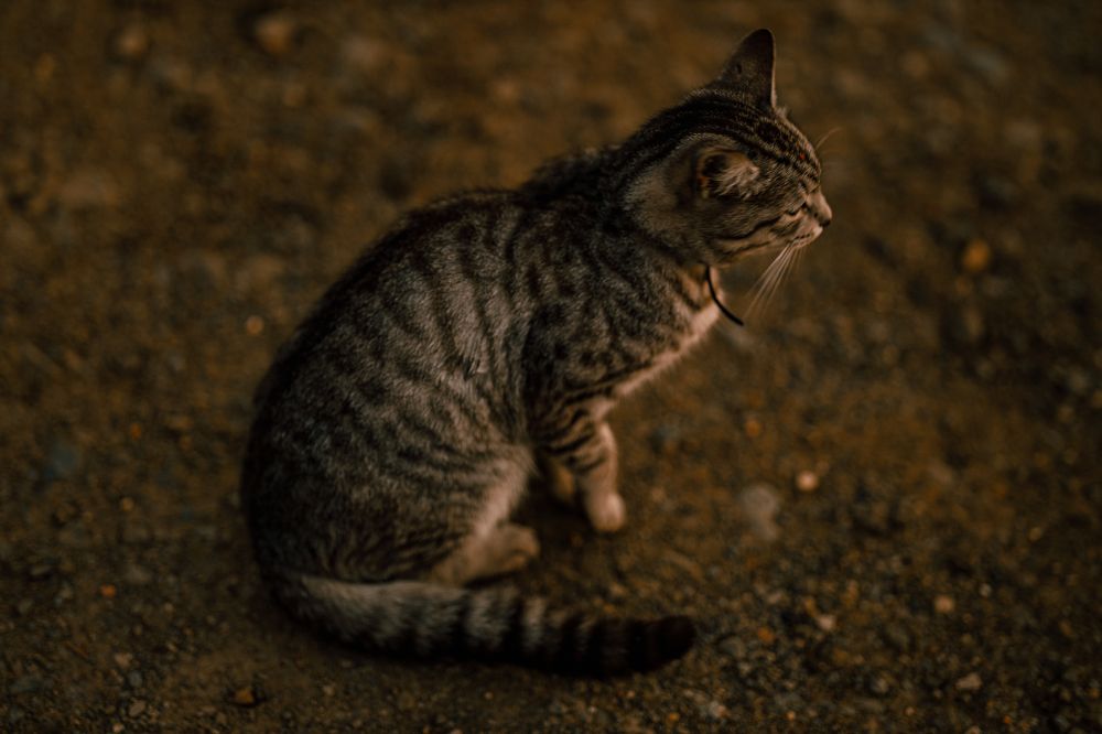 Photograph by Дмитрий Бровко