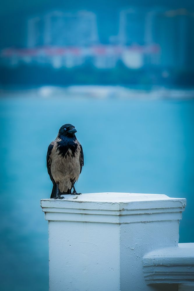 Photograph by Alexey Shevchenko