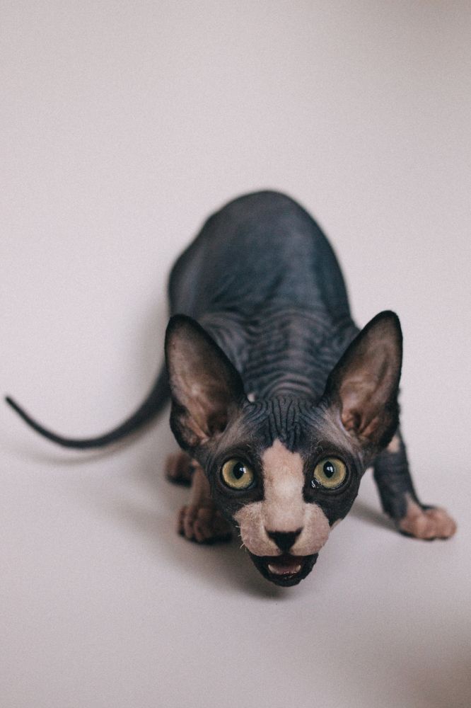 Photograph by Ольга Осинина