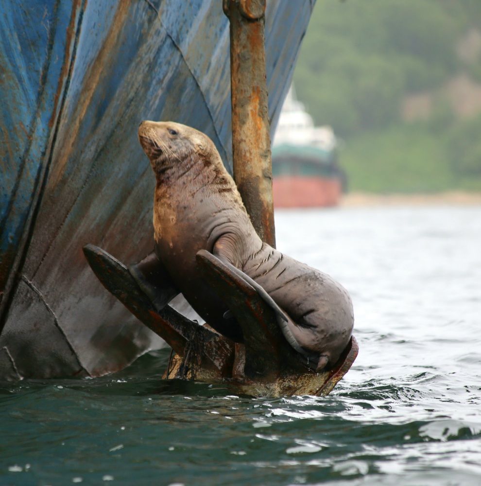 Photograph by Лариса Ким